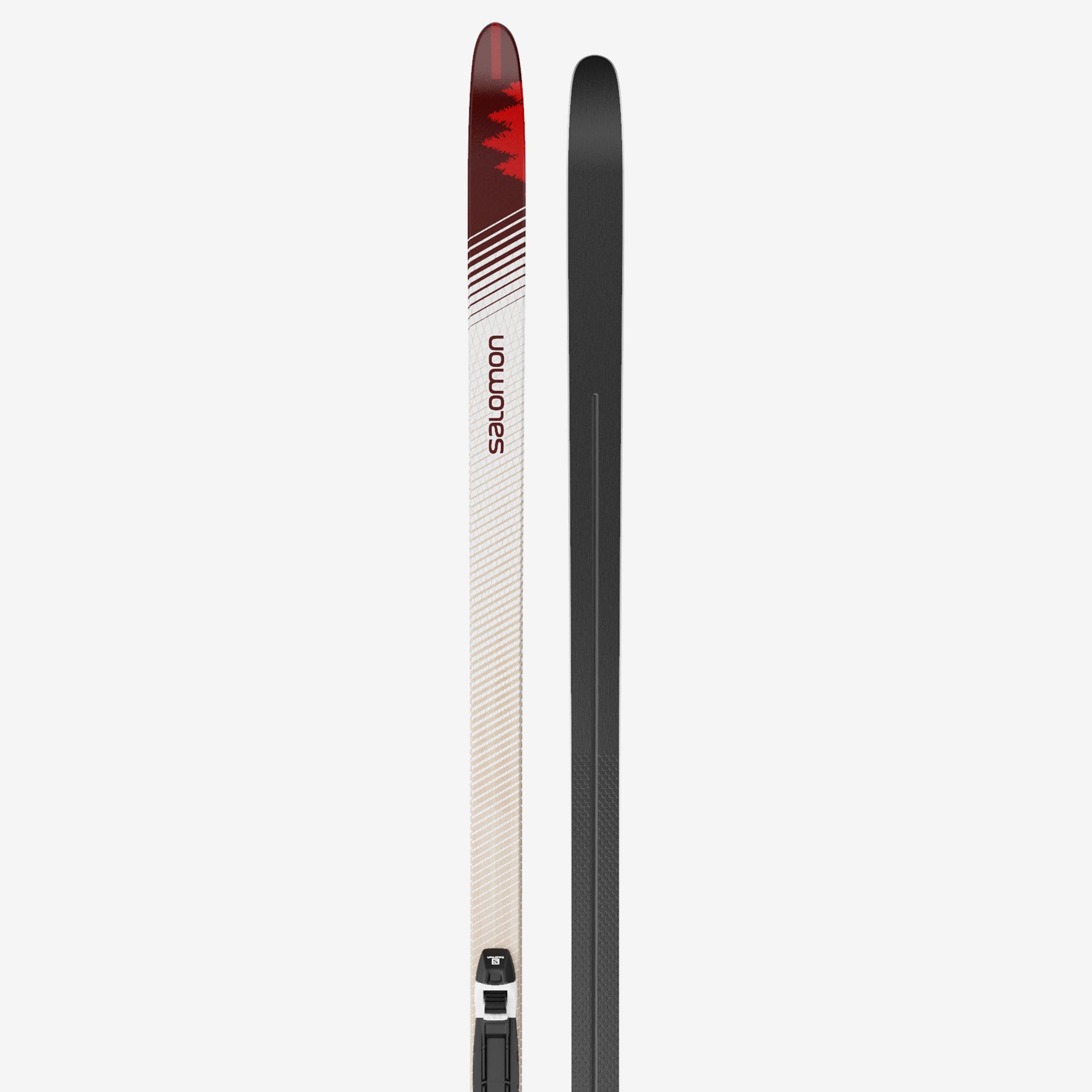Nordic ski shop near me store