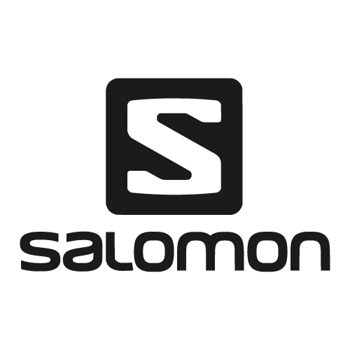 Salomon ski company logo